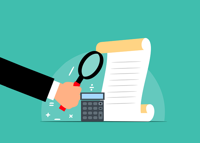 Audit Trails and Privacy Transparency