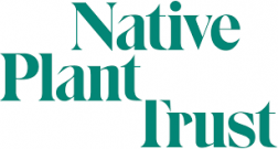 Native Plant Trust logo